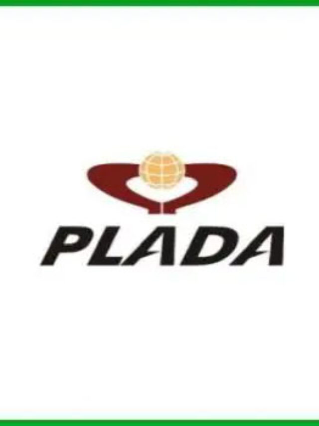 8 Things To Know About Plada Infotech Services IPO